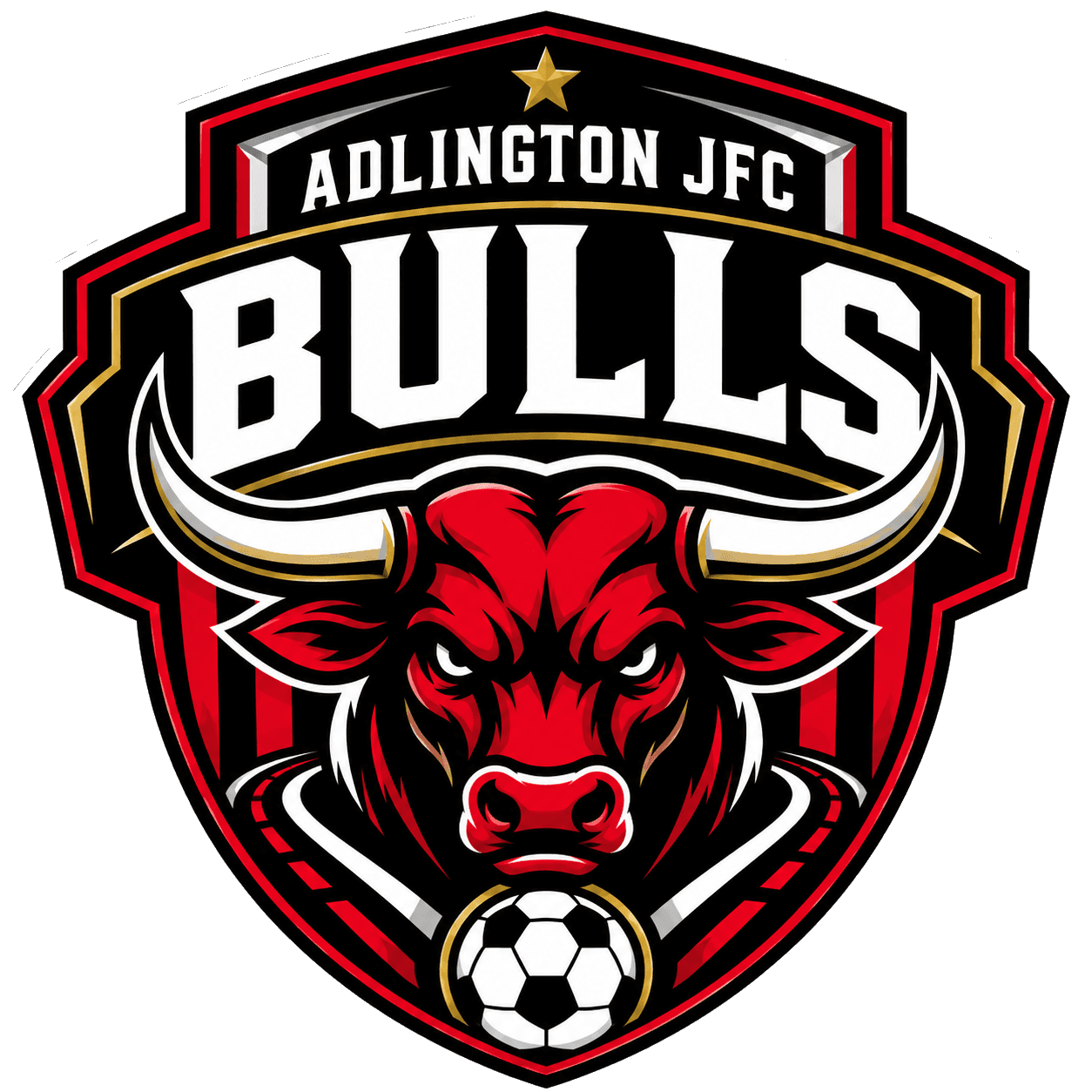 Adlington JFC Bulls team shield