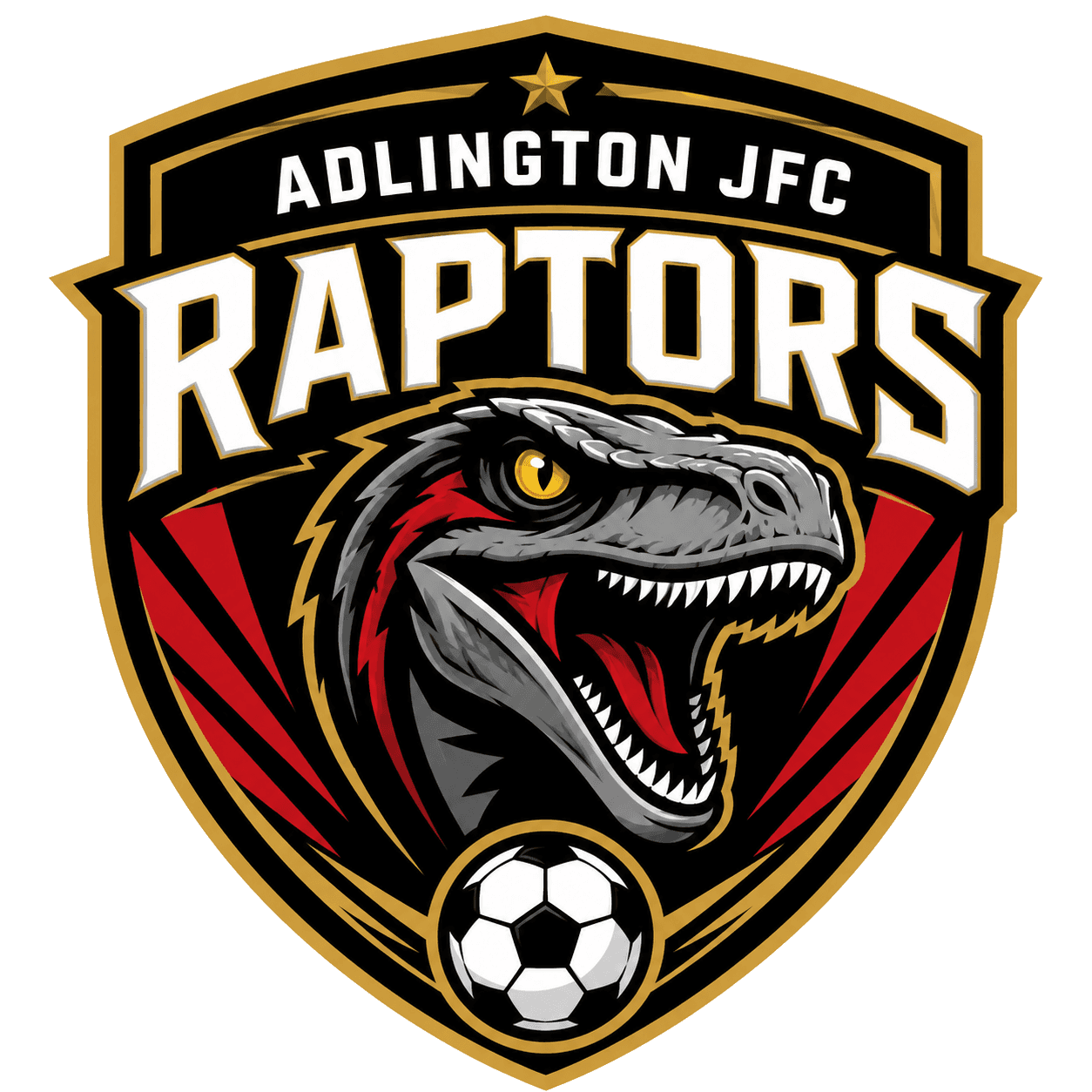 Adlington JFC Raptors team shield