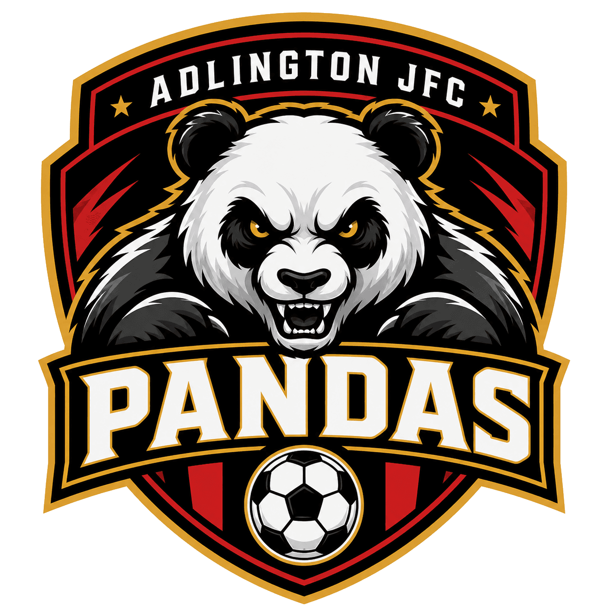 Adlington JFC Pandas team shield