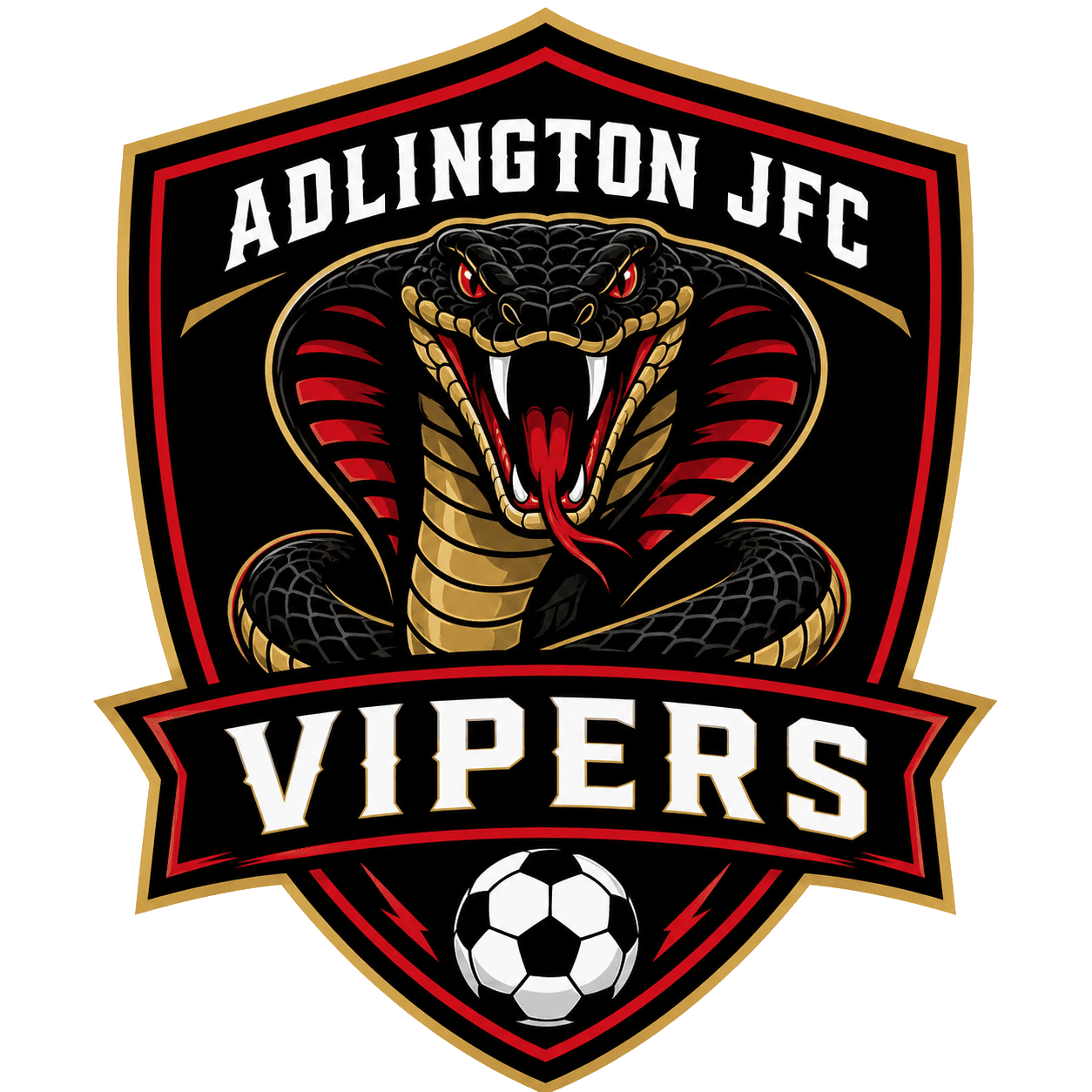 Adlington JFC Vipers team shield
