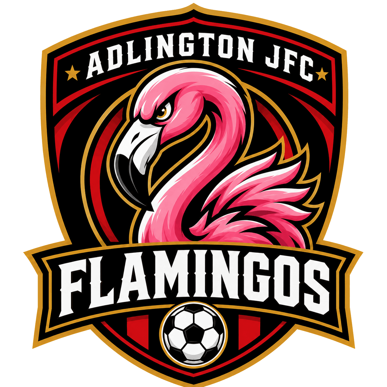 Adlington JFC Flamingos team shield