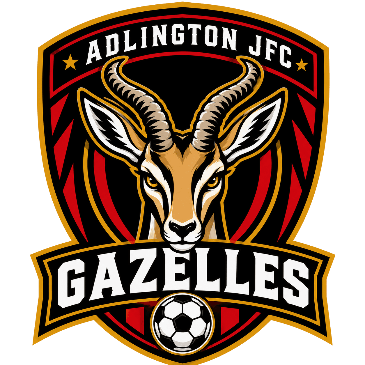 Adlington JFC Gazelles team shield