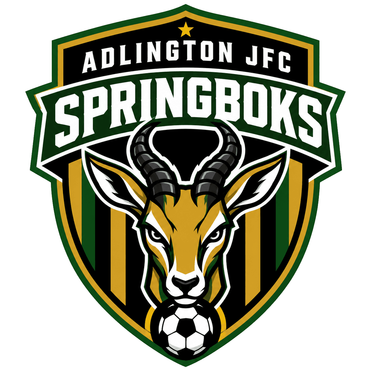 Adlington JFC Springboks team shield