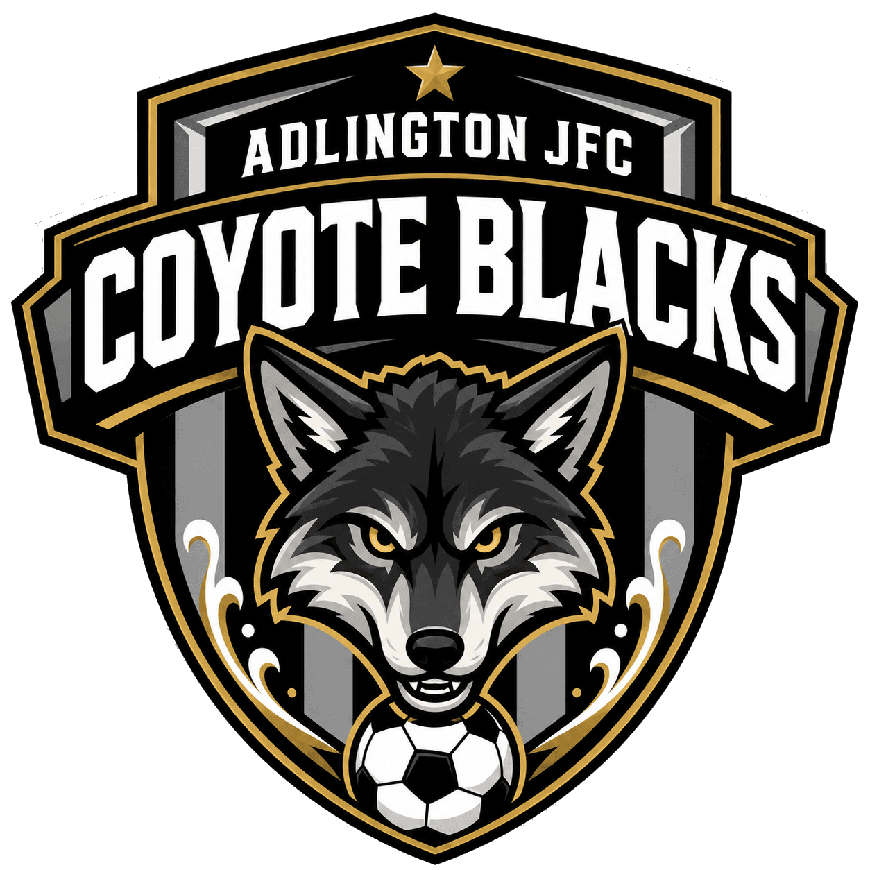 Adlington JFC Coyote Blacks team shield