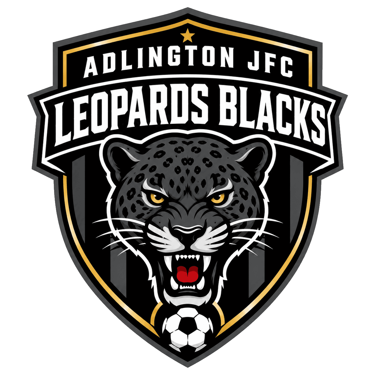 Adlington JFC Leopards Blacks team shield