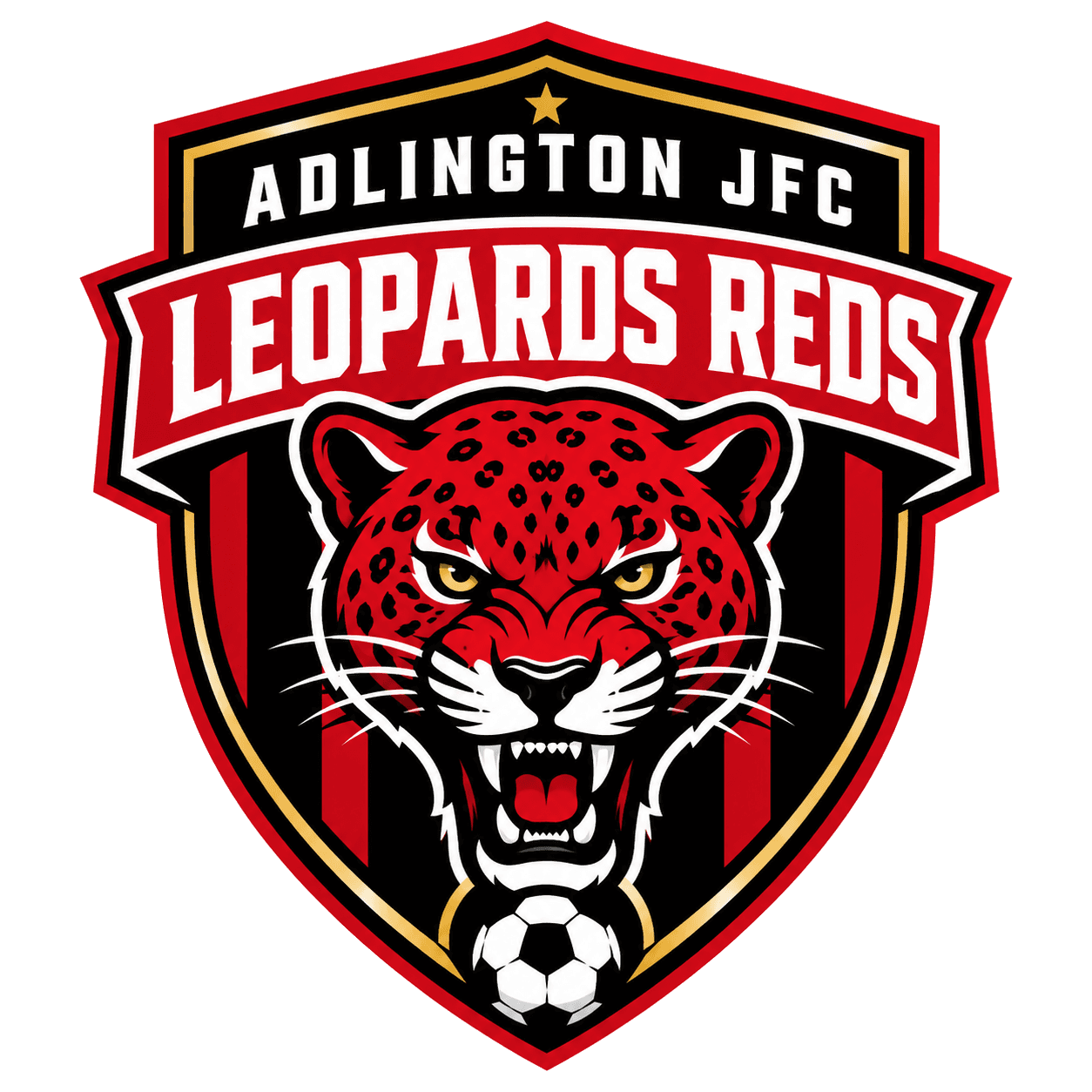 Adlington JFC Leopards Reds team shield