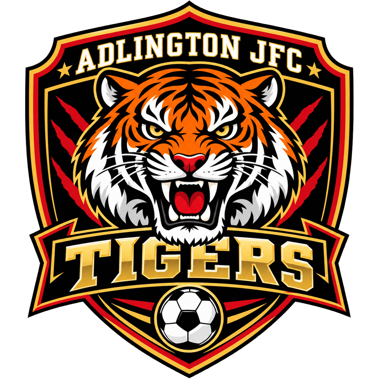 Adlington JFC Tigers team shield