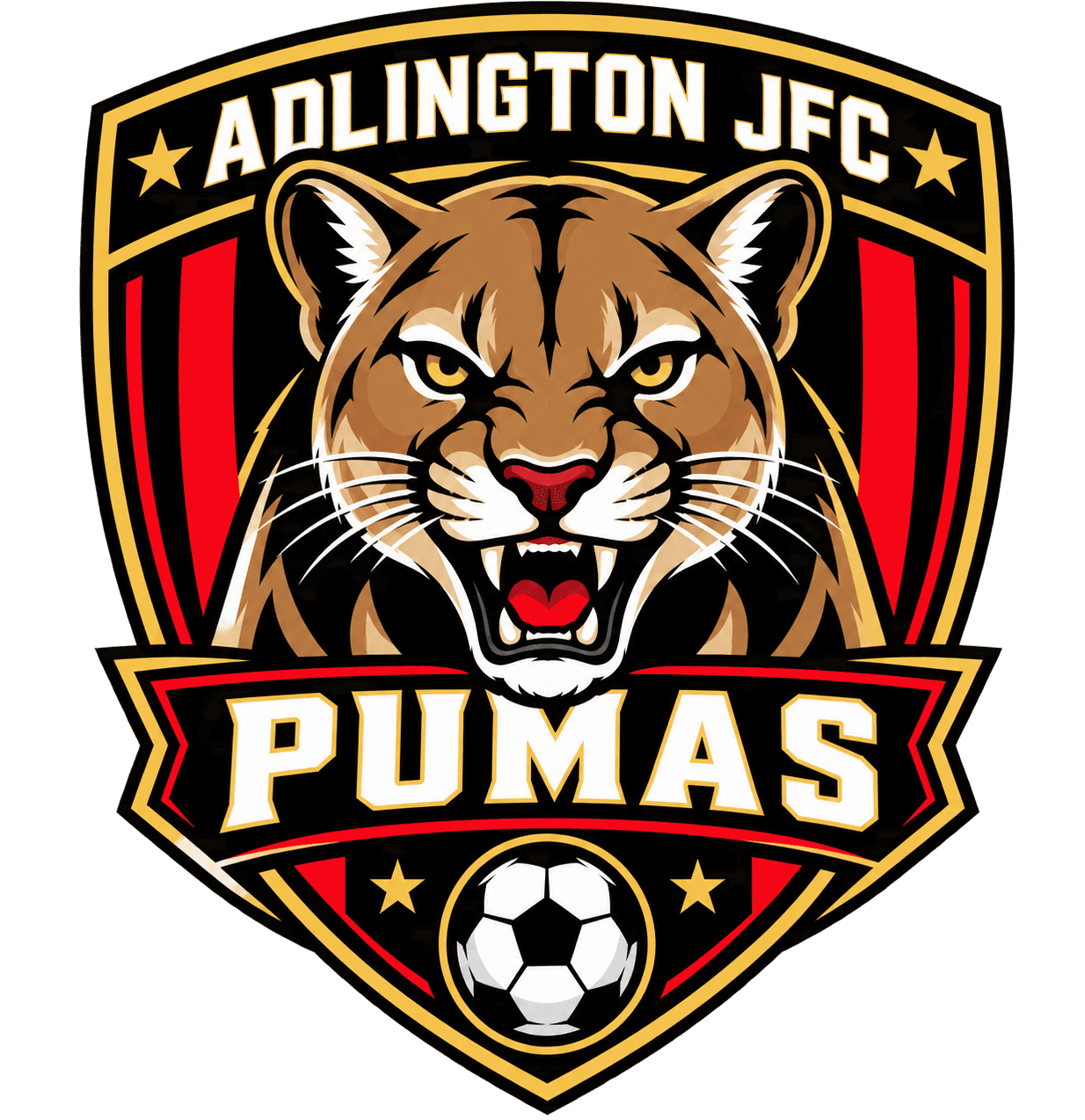 Adlington JFC Pumas team shield